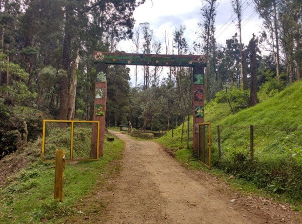 Cairn Hill Reserve Forest, Nilgiris, Tamil Nadu - Vushii.com Cairn Hill Reserve Forest, Nilgiris, Tamil Nadu - Vushii.com